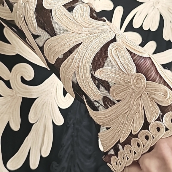 Nwot Weavz Black Mesh/ Creme Soutache Ribbon Embroidered Detail 3/4 Sleeve Dress - Picture 9 of 15